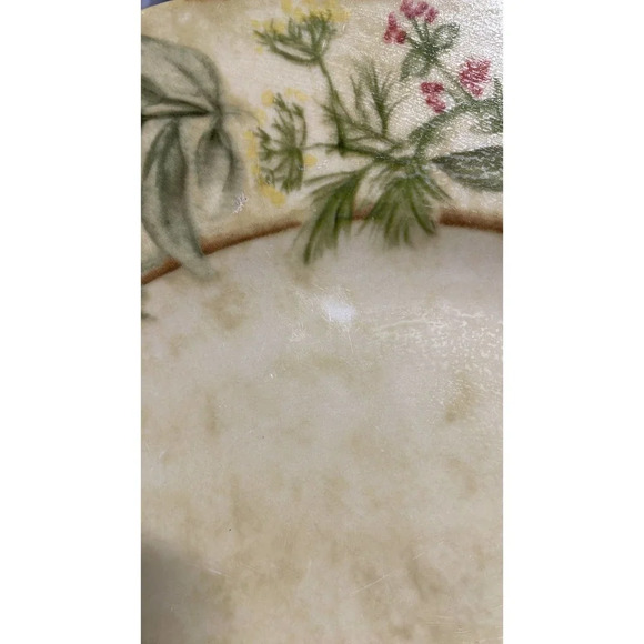 Set of Four 222 Fifth Cheri Blum "Cheri's Garden"‎ Winter/Christmas Plate Set - Picture 4 of 6